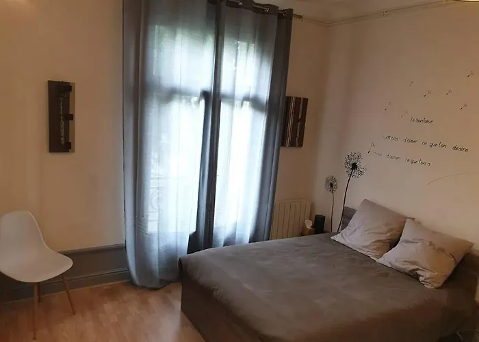 Grand T2 Calme Et Cosy Au « Pyrenees Palace » アパート *