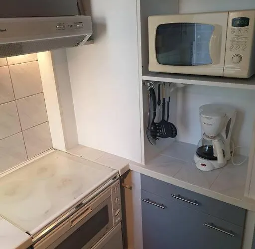 Grand T2 Calme Et Cosy Au « Pyrenees Palace » アパート